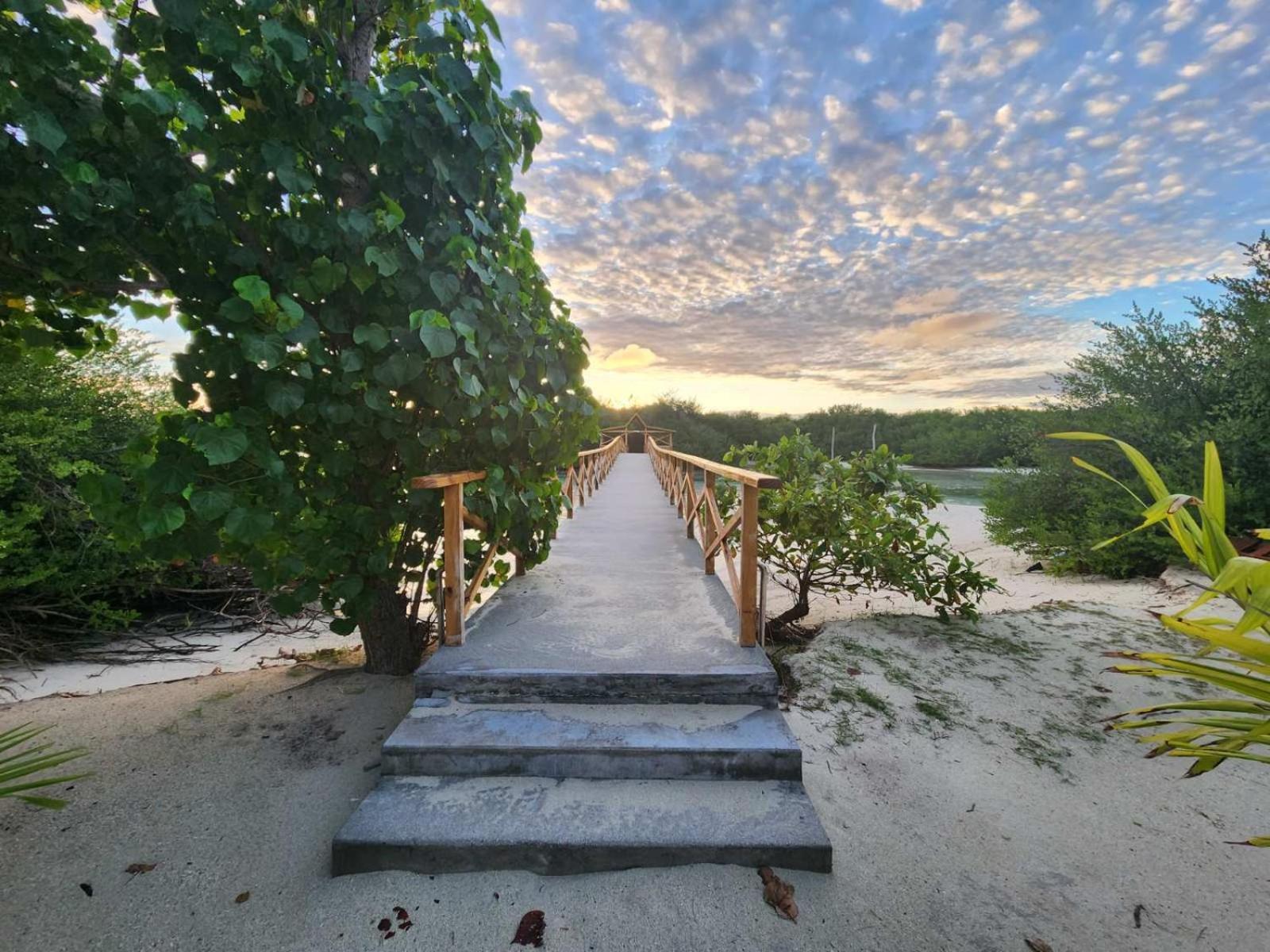 Surf Deck Hotel Thulusdhoo Eksteriør billede
